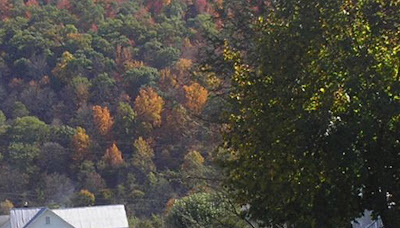 bruce beck bloomingdale police